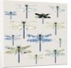 Odonata, 2008 by Sarah Hough