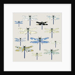 Odonata, 2008 by Sarah Hough