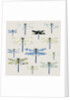Odonata, 2008 by Sarah Hough