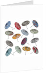 Parasols, 2012 by Sarah Hough