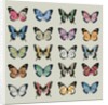 Papillon, 2008 by Sarah Hough