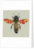Honey Bee, 2010 by Sarah Hough