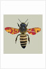 Honey Bee, 2010 by Sarah Hough