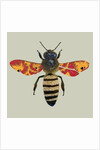 Honey Bee, 2010 by Sarah Hough