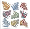 Ferns, 2012 by Sarah Hough