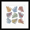 Ferns, 2012 by Sarah Hough