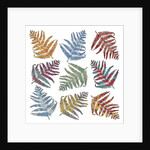 Ferns, 2012 by Sarah Hough