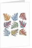 Ferns, 2012 by Sarah Hough