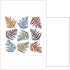 Ferns, 2012 by Sarah Hough