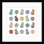 Apples and Pears, 2012 by Sarah Hough