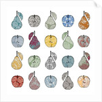 Apples and Pears, 2012 by Sarah Hough