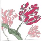 Going Dutch, 2005 by Sarah Hough