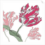 Going Dutch, 2005 by Sarah Hough