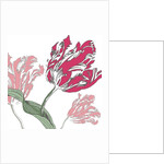 Going Dutch, 2005 by Sarah Hough