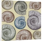 Jurassic Coast, 2009 by Sarah Hough