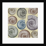 Jurassic Coast, 2009 by Sarah Hough