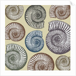 Jurassic Coast, 2009 by Sarah Hough