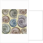 Jurassic Coast, 2009 by Sarah Hough