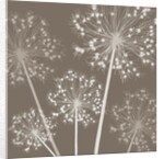 Starry Starry Night, 2005 by Sarah Hough