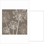 Starry Starry Night, 2005 by Sarah Hough