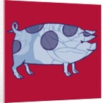 Piddle Valley Pig, 2005 by Sarah Hough