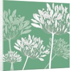 Agapanthus breeze, 2005 by Sarah Hough