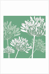 Agapanthus breeze, 2005 by Sarah Hough