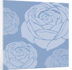 Brandon Rose, 2005 by Sarah Hough