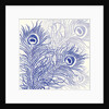 Peacock Parade, 2004 by Sarah Hough