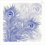 Peacock Parade, 2004 by Sarah Hough