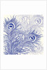 Peacock Parade, 2004 by Sarah Hough