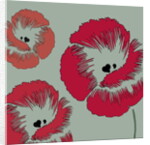 Picnic Poppy, 2005 by Sarah Hough