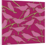 Paradiso, 2008 by Sarah Hough