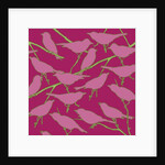 Paradiso, 2008 by Sarah Hough