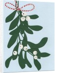 Mistletoe, 2014 by Isobel Barber