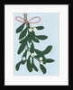 Mistletoe, 2014 by Isobel Barber