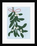 Mistletoe, 2014 by Isobel Barber