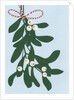Mistletoe, 2014 by Isobel Barber