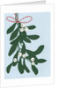 Mistletoe, 2014 by Isobel Barber