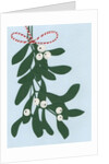 Mistletoe, 2014 by Isobel Barber