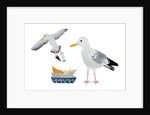 Seagulls, 2014 by Isobel Barber