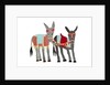 Donkeys, 2014 by Isobel Barber