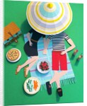 Picnic in the Park, 2016 by Isobel Barber