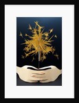 Light up the Night, 2016 by Isobel Barber
