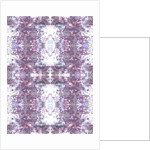 Vito, 2015 by Beth Travers