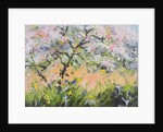 Spring Blossom by Anne Durham