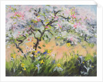 Spring Blossom by Anne Durham