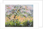 Spring Blossom by Anne Durham