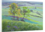 Towards Winchelsea, Sussex, with Bluebells in Spring by Anne Durham