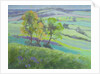 Towards Winchelsea, Sussex, with Bluebells in Spring by Anne Durham